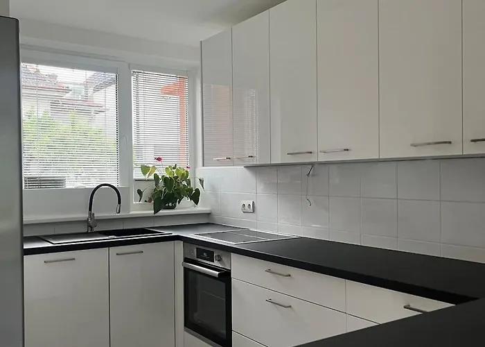 House With Garden Near Centre Otilia